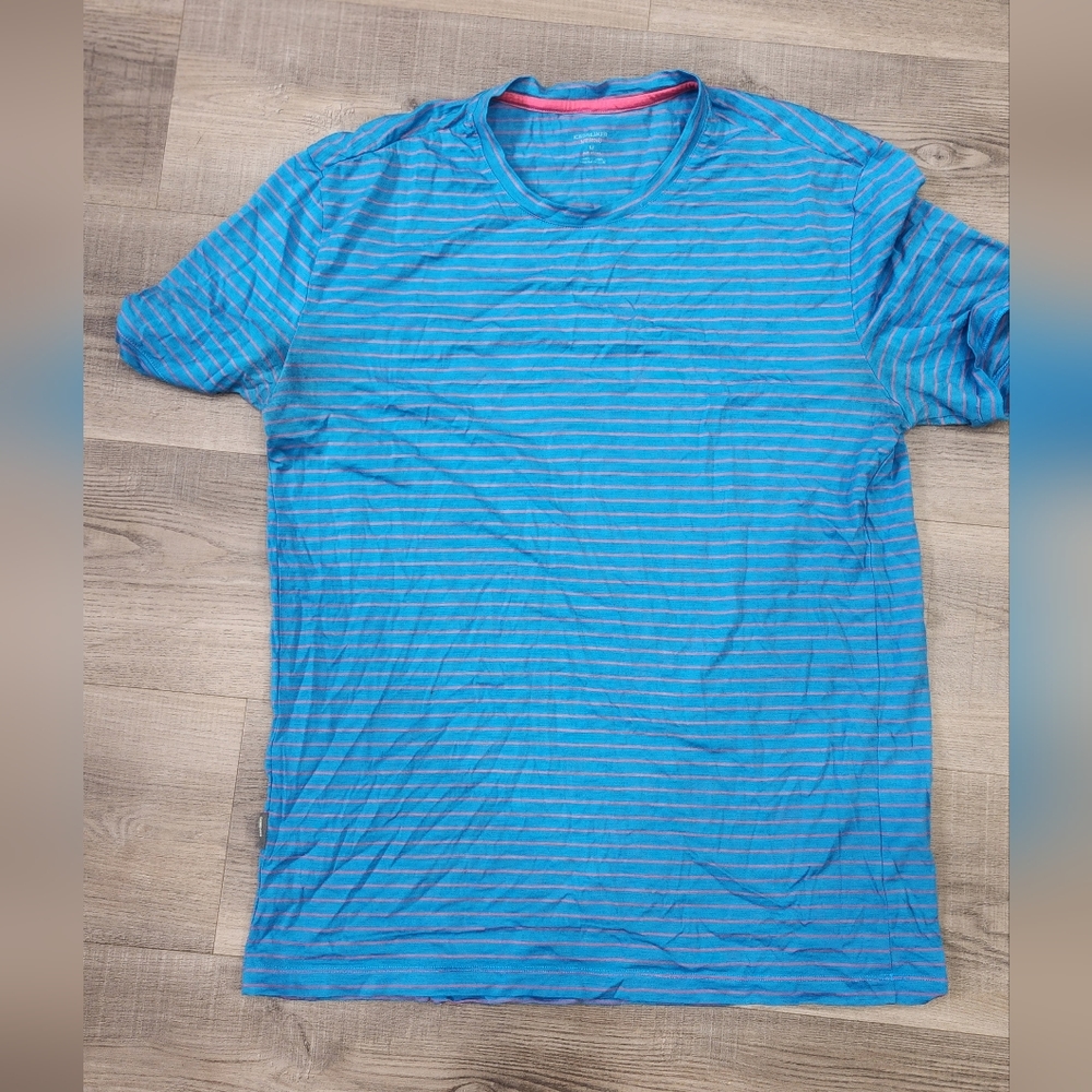 Icebreaker t-shirt